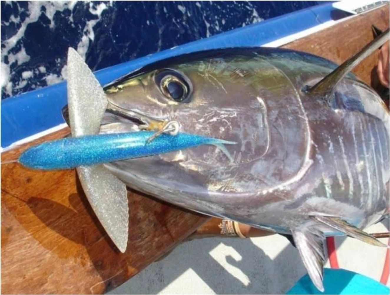 Yummee Lures Yummee Flying Fish Lures, Fishing Lures, Fishing